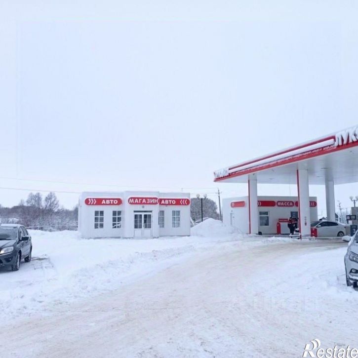 Отдельное здание Инсар, улица Пугачёва, 1А
