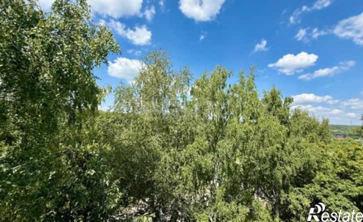 1-комн квартира Саранск, улица Попова, 74Б